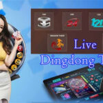 Jenis-Jenis Live Dingdong di Situs Resmi