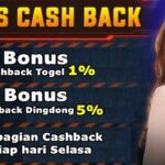 Bonus Cashback Togel Online